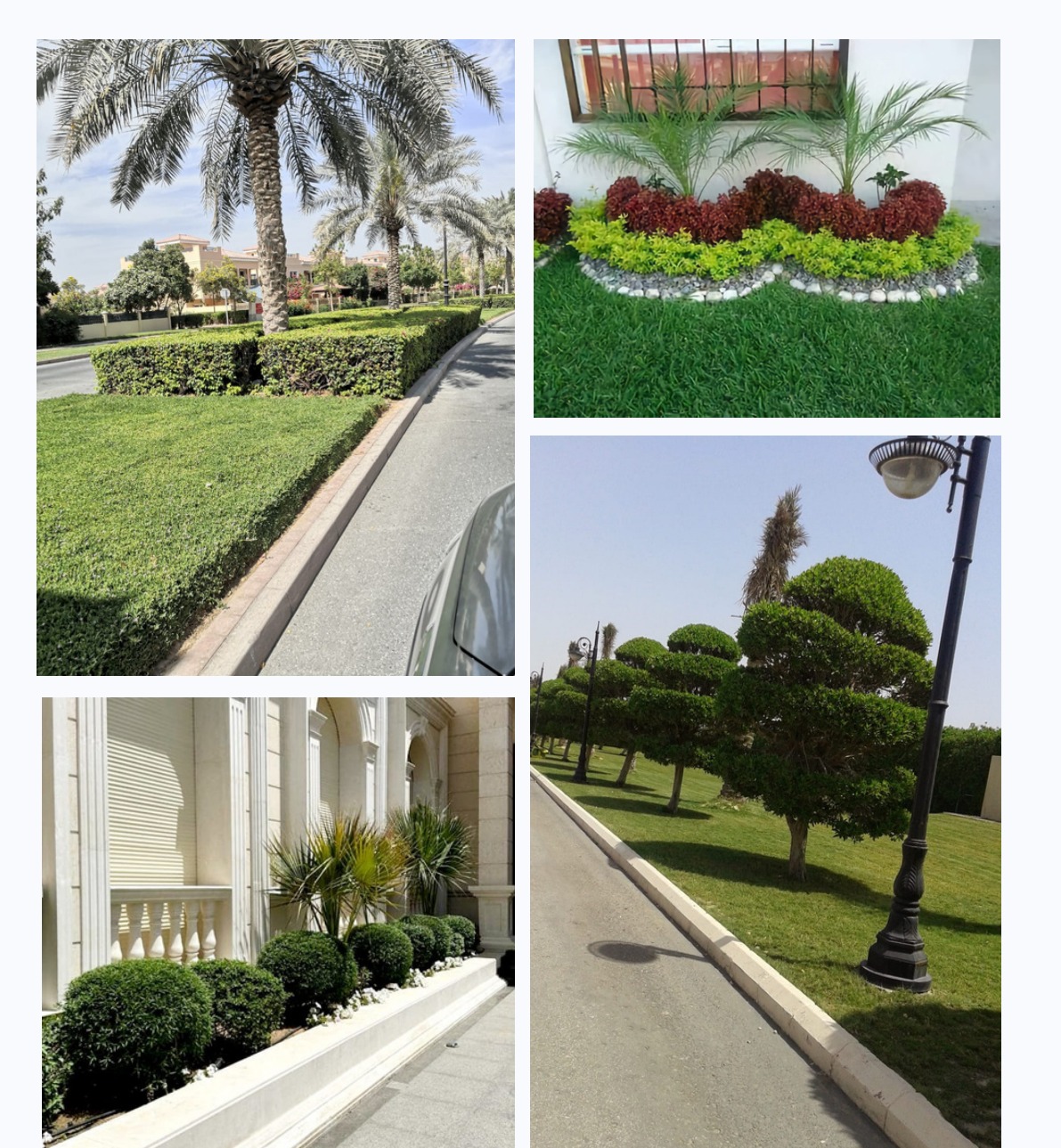مشاريع الصيانة